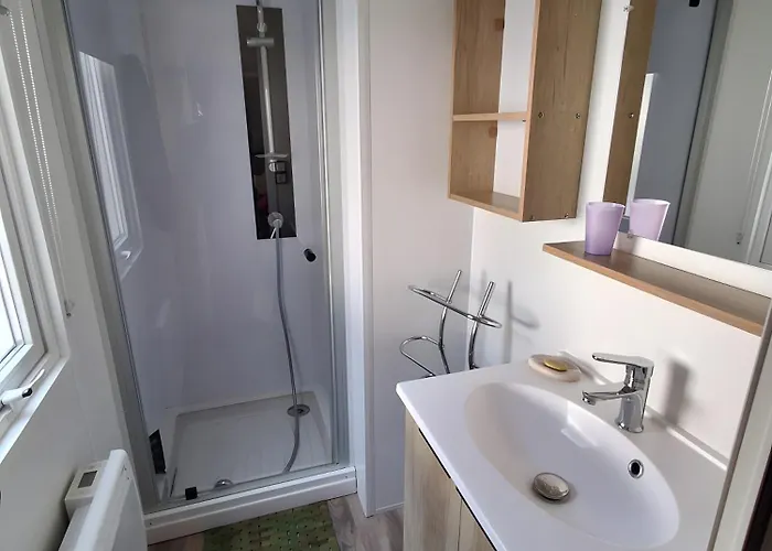 Mh 338 Ronce Les Bains Holiday home